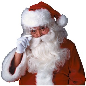 Rubies Wig and Beard Santa Feature Set - 1 of 1