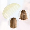 Unique Bargains Women's Half Round Wide Tooth Comb for Curly Thick Wavy Straight Hair 1 Pc - 3 of 4