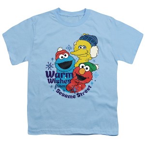 Boys' Sesame Street Elmo, Cookie Monster Warm Wishes For Christmas T-Shirt - 1 of 4