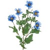 Northlight Artificial Floral Cosmos Sprays- 33" - Blue - Set of 6 - 3 of 4