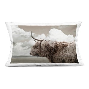 Stupell Industries Longhorn Cattle & Clouds View Indoor Decorative Throw Pillow, 14 x 20 - 1 of 3