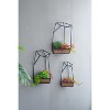 Metal Frames Set of 3 Geometric Wall Planters, Modern Hanging Wall Decor for Indoor Greenery - 3 of 4