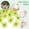 Unique Bargains Silk Fake Plum Blossom Artificial Flower Heads - 4 of 4