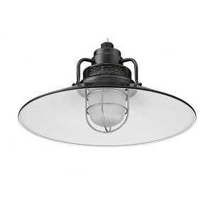 Millennium Lighting R Series 1 - Light Pendant in  Satin Black - 1 of 1