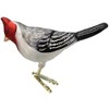 Old World Christmas Glass Blown Ornament for Christmas Tree, Red Crested Cardinal - 3 of 4
