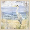Amanti Art Birds of the Coast Rustic II by Tara Reed Framed Wall Art Print - 4 of 4