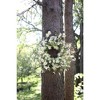 White Daisy Floral Wreath 23"D - 4 of 4