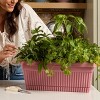 Bloem 18" Amelia Resin Window Box Planter - 2 of 4
