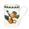 Portmeirion Pomona 12 Ounce Tankard Mug, Set of 6, Made in England - Assorted Fruit Motifs - 4 of 4