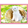 Trefl 4in1 Fun Cats Kids Jigsaw Puzzle - 207pc - image 4 of 4