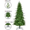 Perfect Holiday 11ft Unlit Natural Green Aspen Fir Christmas Tree - Green - 2 of 4