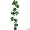 5FT/6FT/7FT Artificial Fiddle Leaf Fig Tree in Black Nursery Pot,Faux Potted Tree for Home Decor Fake Rubber Tree - 2 of 4