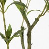Artificial Tree - Faux 32" Potted Pieris Japonica Plant - FXP2012 - Green - Safavieh - 4 of 4