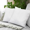 Covers&All Throw Pillow Inserts, Durable Soft 65 GSM Non-Woven Fabric with 15D Silicon Fiber Filling - 3 of 4