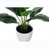 Vynxaria Artificial Plant, Tall, Aureum, Indoor, Faux, Fake, Table, Greenery, Potted, Real Touch, Decorative, Green Leaves, White Pot - 2 of 4