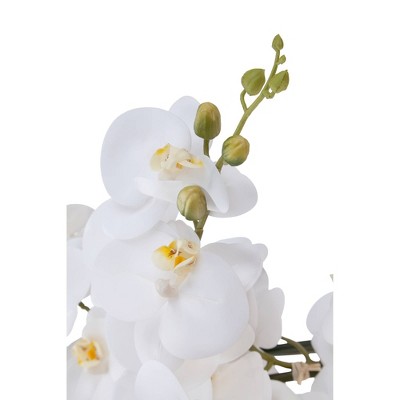 Elegant Winter Orchid 32" High Outdoor Potted Arrangement