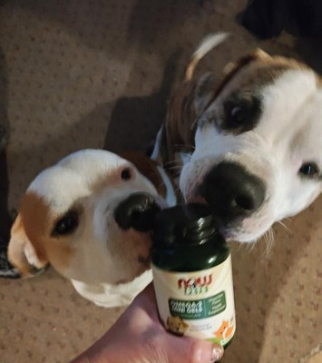 Guest review image 3 of 3, zoom in