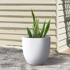 Rosemead Home & Garden, Inc. Concrete Outdoor Planter Pot White 18"x18" - 3 of 4