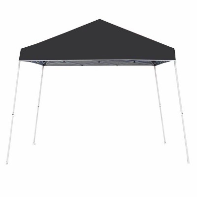 Z-Shade 10 x 10 Foot Angled Leg Instant Shade Outdoor Canopy Tent Portable Shelter with Durable Steel Frame and Carrying Bag, Black