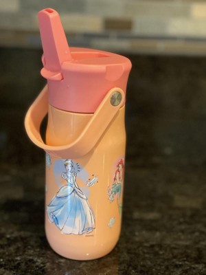 Disney Frozen 14oz Stainless Steel Summit Kids Water Bottle With Straw - Simple  Modern : Target