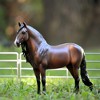 Breyer Animal Creations Breyer Traditional 1/9 Model Horse - Dominante XXIX - 3 of 4