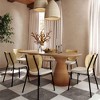 TOV Furniture Nessie Rattan Dining Chair - Set of 2 in Natural - 2 of 4