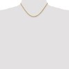 Black Bow Jewelry 3.25mm, 10k Yellow Gold Diamond Cut Solid Rope Chain Necklace - 2 of 4