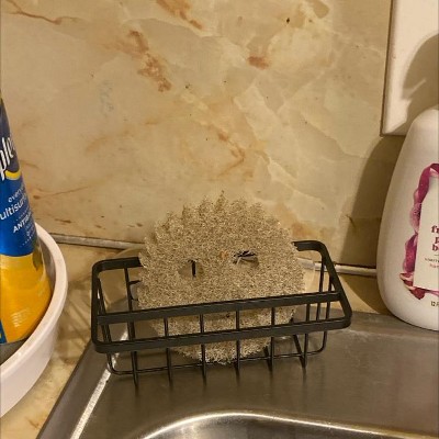 Guest review image 2 of 2, zoom in