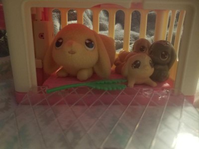 Little Live Pets Lil' Bunny Mini Mama Surprise Playset, 1 ct - Kroger