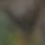 distressed line light gray