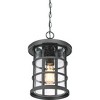 Crusade 1-Light Outdoor Hanging Lantern - 4 of 4