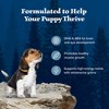 Blue Buffalo Wilderness High Protein Natural Puppy Dry Dog Food with Chicken Flavor - 13lbs - 4 of 4