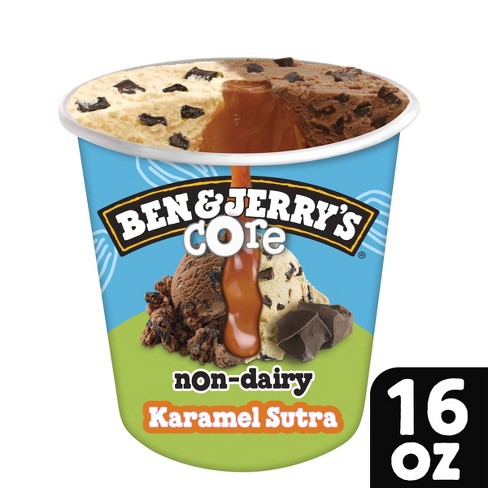 Ben & Jerry's Non-Dairy Karamel Sutra Chocolate & Caramel Frozen Dessert - 16oz - image 1 of 4