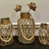 Slickblue Hand-Woven Hanging Glass Vase Clear with Natural Rope for Flowers or Decorative Fillers - Large/Medium/Small - 4 of 4