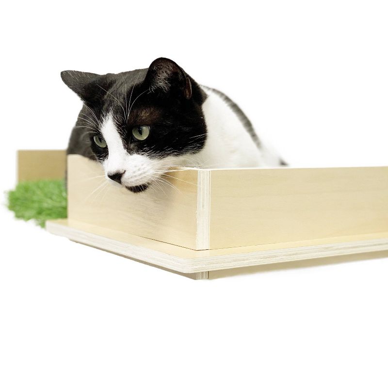 On2Pets Canopy Shelves Cat Box - Beige, 4 of 5