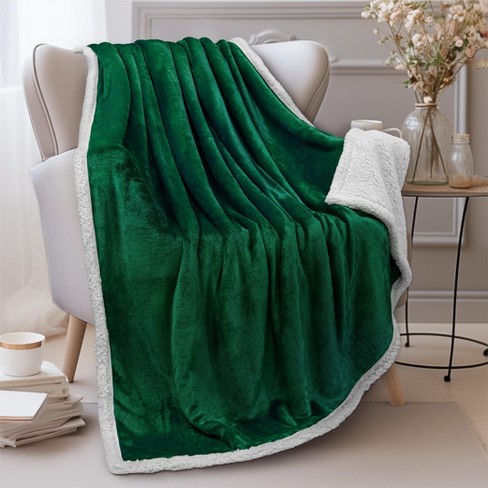 PAVILIA Premium Faux Shearling Fleece Throw Blanket for Bed Reversible Warm Blanket for Couch Sofa Emerald Green Throw 50x60