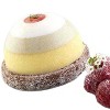 Silikomart Silicone Bakeware Magic Dome 3.89 Oz, 2.95" Dia x 1.57" H, 6 Cavities - 2 of 2