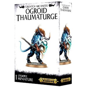 Ogroid Thaumaturge Disciples Of Tzeentch Warhammer Age Of Sigmar - 1 of 2