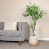 Storied Home Whitewashed Terra-cotta Urn - 2 of 4