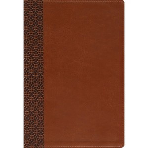 Amplified Holy Bible, Large Print, Leathersoft, Brown - by  Zondervan (Leather Bound) - 1 of 1