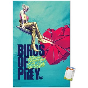 Trends International DC Comics Movie - Birds Of Prey - Heart Unframed Wall Poster Prints - 1 of 4