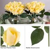 Nature Spring Rose Artificial Flowers - 24Pc Real Touch 11.5-Inch Fake Flower Set with Stems - image 4 of 4