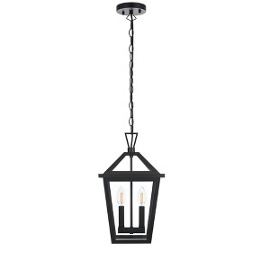 Elegant Lighting Frankford 10 Inch Outdoor Pendant in Black - 1 of 4