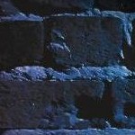 clear push pins bundle