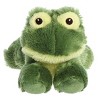 Aurora Small Eco Softies American Bullfrog Eco Nation Eco-Friendly Stuffed Animal Green 8" - 2 of 4