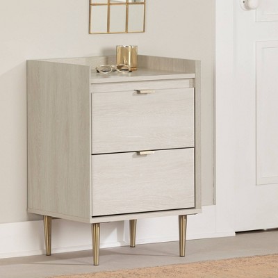 Winter Oak Rectangular 2-Drawer End Table with Brass Accents