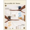 52in Ceiling Fans with Remote Control and Light, 6 Speeds Reversible DC Motor, for Bedroom, Living Room, Indoor, Outdoor, Black and Walnut - 3 of 4