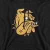 Men's University Of Minnesota Duluth Distressed Primary Pull-Over Hoodie - 2 of 4