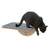 Sandinrayli Cat Window Perch Hammock for Indoor Cats, 2-in-1 Installation - 3 of 4
