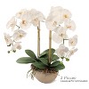 Floral Home 33.5" Phalaenopsis with 9 Flowers - 2-Piece - 3 of 4